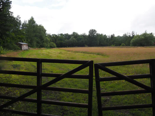 Dodendraad in Hamelt Achel (Belgium)